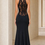 Elegance Halter Neck Lace Panel Maxi Evening Dress