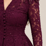 Elegant Lace Peplum Long Sleeve Formal Evening Gown