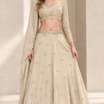 Embroidered V-Neck Long Sleeve Lehenga Choli Set with Dupatta