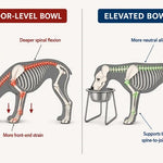 Adjustable Elevated Dog Bowl Stand