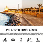 Polarised Round Cat-Eye Sunglasses
