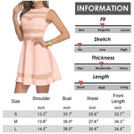 Sexy Mesh Mini Skater Dress - Zeagoo (Us Only)