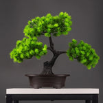 Serene Path Bonsai