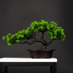 Serene Path Bonsai