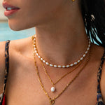 Seashell Necklace