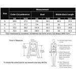 Long Sleeve Mesh Sheer Shirt - Zeagoo (Us Only)
