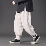 Thickened Faux Lamb Wool Loose Casual Harem Pants