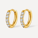 Diamond Sparkle Earrings