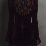Burgundy Velvet Lace-trimmed V-neck Mini Dress
