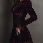 Burgundy Velvet Lace-trimmed V-neck Mini Dress