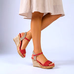 Savannah Lattice Wedges