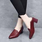 Women's Embroidered Low Heel Shoes