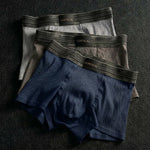 Taro Organic Cotton Boxer Briefs Set