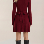 Geneva High Neck Knit Mini Dress