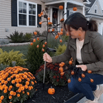 Solar Pumpkin Garden Stake Lights